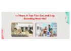 Cat Boarding Services | CGS Hospital