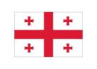 Georgia State Flag: The Surprising Story Behind Its Stars, Seal, and Stripes