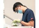 Dentist Open Near Me – Convenient Dental Care When You Need It