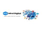Professional E-commerce Website Development in USA