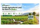Fertile Agricultural Land for Rent in Dhule for Long-Term Farming | Propertzz