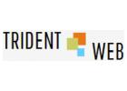 SEO Services Pune India: Trident Web Infoservices
