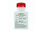 Reliable 230V AC Panel Buzzer for Machine Alerts