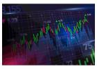 Discover Market Research Options with a 15-Day Free Trial 