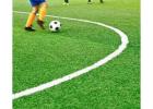 Best Sport Grass Perth for Football Fields and Training Areas