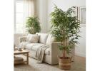 Fake Bamboo for Green Interior Displays 