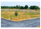 Compare Plots in Goa Before Making a Purchase
