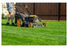 Need Snow Removal in Edmonton? Explore Reliable Winter Care Options