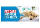 Dog Cataract Surgery | CGS Hospital