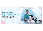 Vet Near Me: How to Choose the Right Veterinarian