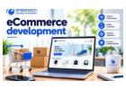 Grow Your Online Business with Professional Ecommerce Development