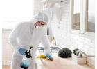Affordable Pest Control Swindon Prices for Every Need
